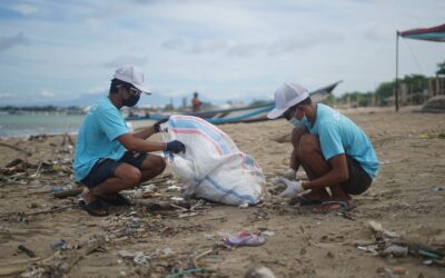 Coordenador de Projetos Sustentáveis