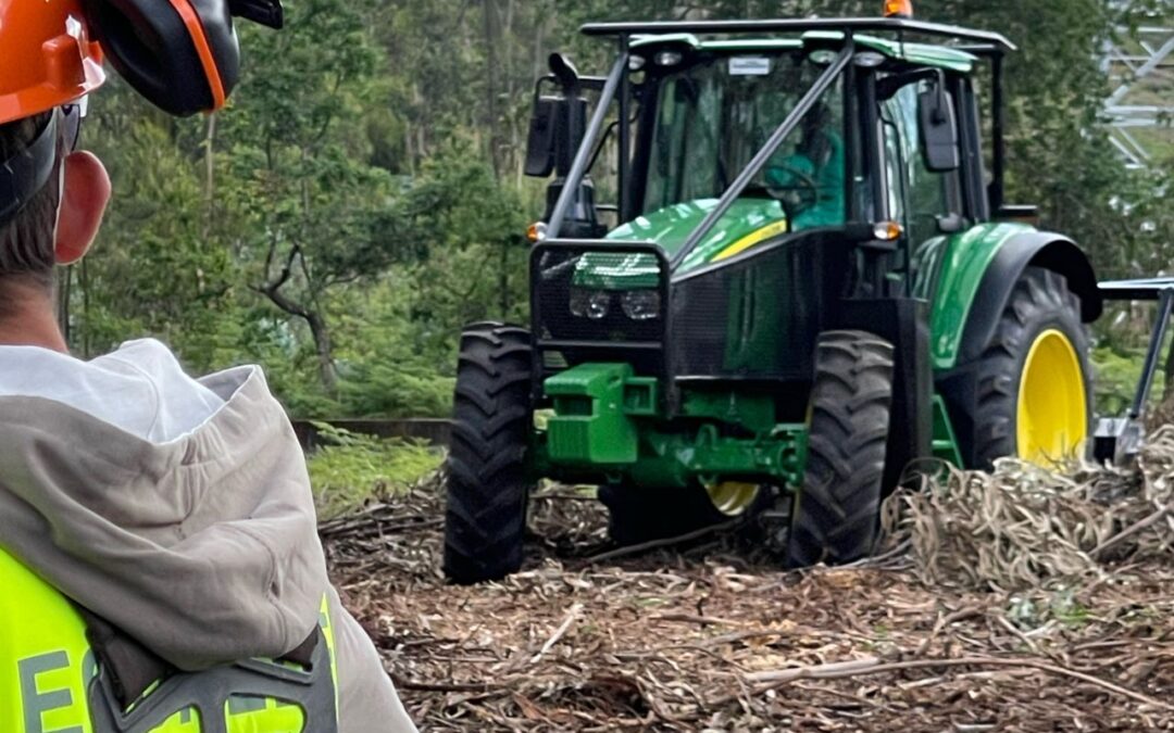 Todos os Dias assumimos o nosso compromisso com a sustentabilidade do nosso Território